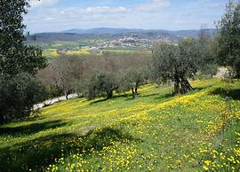 Villa in Umbria With Private Pool & Valley Views