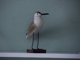 Sandpiper in Haus Strandburg Binz