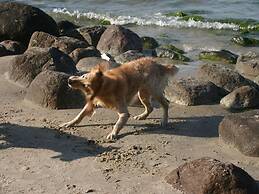 Sandpiper in Haus Strandburg Binz