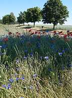 Holiday Apartment Age