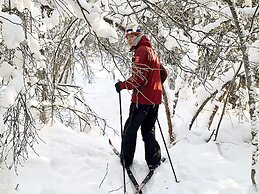 5 Star Holiday Home in Hemsedal-by Traum