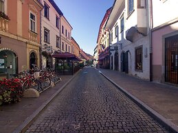 Lovely Apartment in Ptuj With Golf Course Nearby