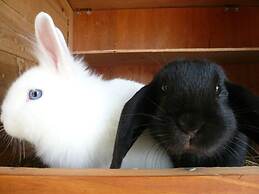 Vakantiewoning in Zwarte Woud