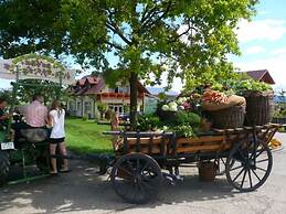 Vakantiewoning in Zwarte Woud