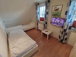 Shell Seeker Modern Retreat