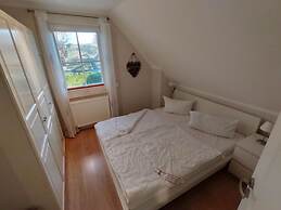 Shell Seeker Modern Retreat