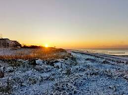 Shell Seeker Modern Retreat