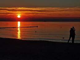 Shell Seeker Modern Retreat