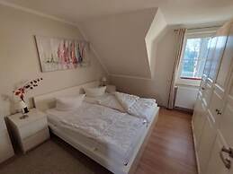 Shell Seeker Modern Retreat