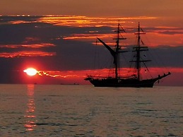 Shell Seeker Modern Retreat