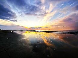 Shell Seeker Modern Retreat