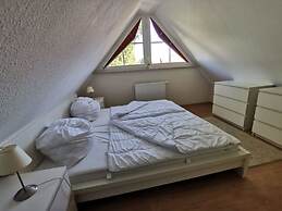 Shell Seeker Modern Retreat