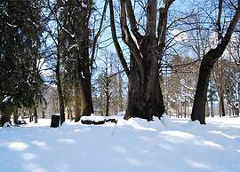 Belvilla by OYO Negritella Quadri Sette