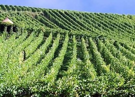 Apartment in Essen With Terrace