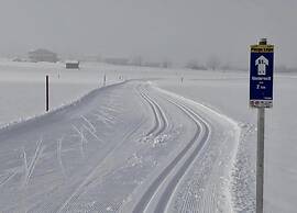 Spacious Flat in Mittersill