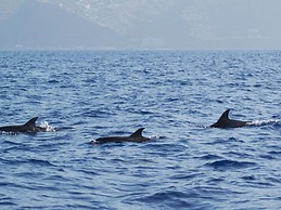 Vista do Mar Comfortable Holiday Residence