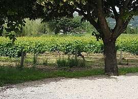 Holiday Home Vaison With Private Pool