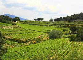 Holiday Home Vaison With Private Pool