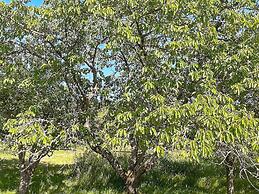 6 Person Holiday Home in Solvesborg-by Traum