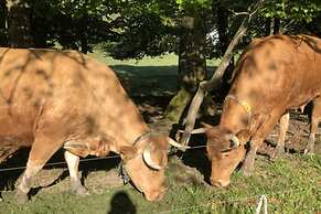 Holiday Home Kent Comfortable Vacation Home