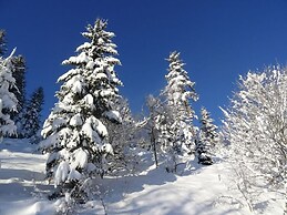 Holiday Apartment Owl's Nest