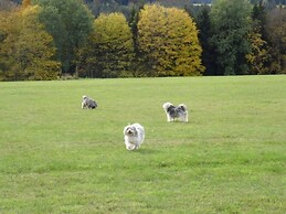 Holiday Apartment Owl's Nest