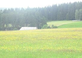 Holiday Apartment Owl's Nest