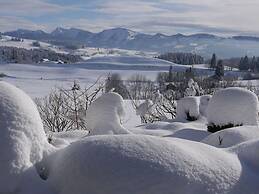 Holiday Apartment Hildegard Birds