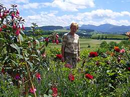 Holiday Apartment Hildegard Birds