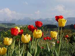 Holiday Apartment Hildegard Birds