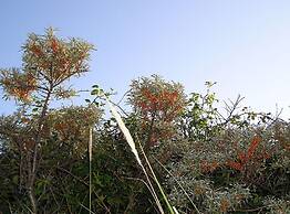 Old Printing House Holiday Apartment Bodoni