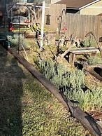 Hummingbird Mountain Cottage