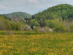 The Waldhaus Modern Retreat