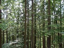 The Waldhaus Modern Retreat