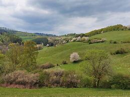 The Waldhaus Modern Retreat