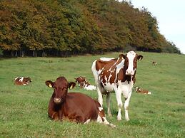 The Waldhaus Modern Retreat