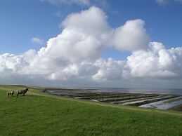 Watt's Dream Close to the Beach