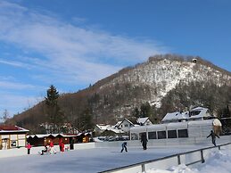Cosy Apartment in Bad Harzburg With Garden