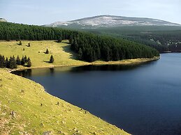 Cosy Apartment in Bad Harzburg With Garden