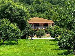 Stars Residence