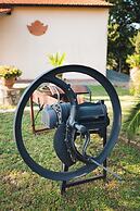 Agriturismo Podere Ristella - Wine&Food