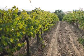 Agriturismo Podere Ristella - Wine&Food