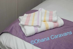 Silver 3 Bedroom Caravan Located at Seton Sands H