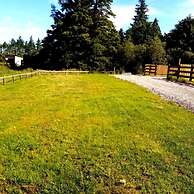 Forest View Cottage - Private Hot Tub
