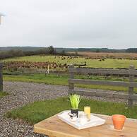 Forest View Cottage - Private Hot Tub