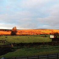 Forest View Cottage - Private Hot Tub