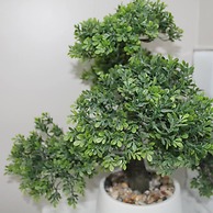 4 Bed Boutique House Lisburn Road