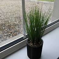 Forest View House Hot Tub Sleeps 9