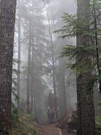 58mf - Wi-fi - Pets Ok - Evc - Amazing Views 2 Bedroom Cabin by RedAwn