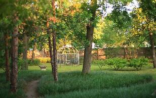 Montford Inn & Cottages